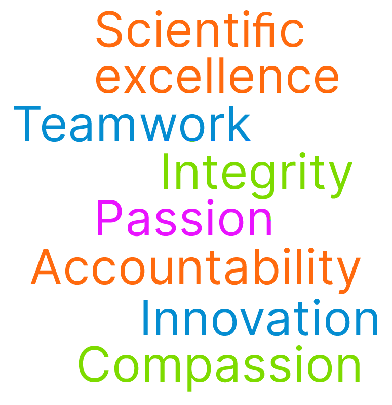 values graphic